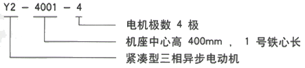 YR系列(H355-1000)高压YR5603-10三相异步电机西安西玛电机型号说明